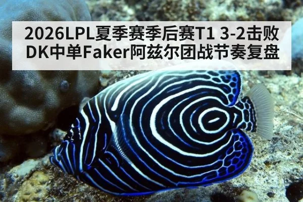 2026LPL夏季赛季后赛T1 3-2击败DK中单Faker阿兹尔团战节奏复盘